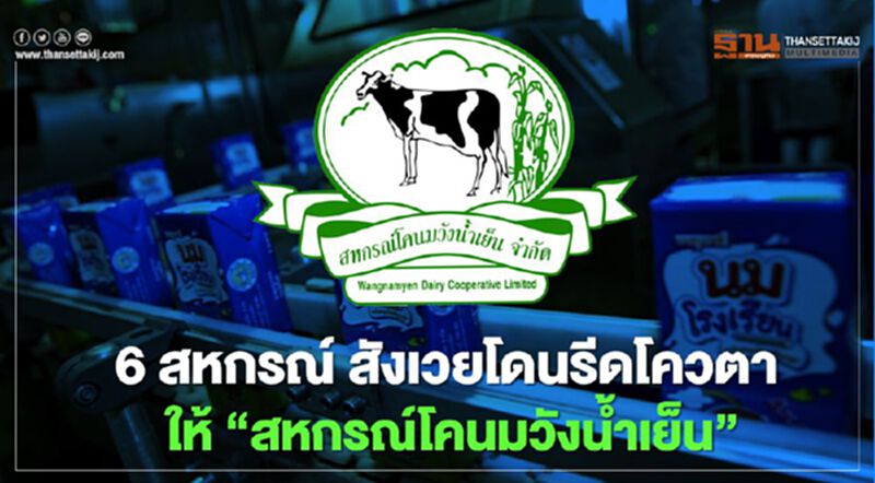 6 สหกรณ์ สังเวยโดนรีดโควตาให้ “สหกรณ์โคนมวังน้ำเย็น” 6 สหกรณ์ สังเวยโดนรีดโควตาให้ “สหกรณ์โคนมวังน้ำเย็น”
