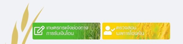 www.เยียวยาเกษตรกร.com  โอนเงินกลุ่มแรก 2 ล้านราย วันสุดท้าย เช็กด่วน