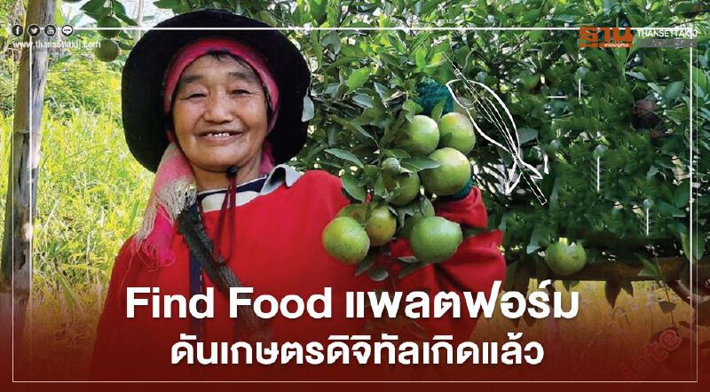 Find Food แพลตฟอร์ม ดันเกษตรดิจิทัลเกิดแล้ว Find Food แพลตฟอร์ม ดันเกษตรดิจิทัลเกิดแล้ว