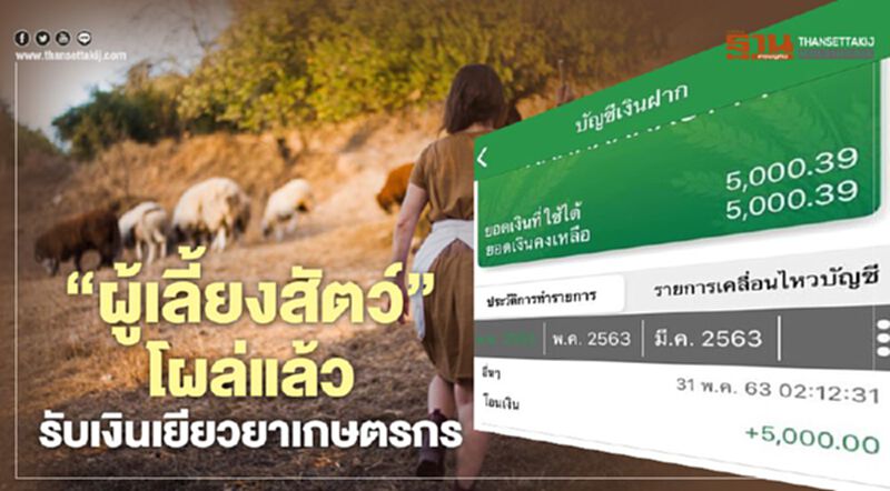 www.เยียวยาเกษตรกร.com “ผู้เลี้ยงสัตว์” โผล่แล้วรับเงินเยียวยาเกษตรกร 5,000 www.เยียวยาเกษตรกร.com “ผู้เลี้ยงสัตว์” โผล่แล้วรับเงินเยียวยาเกษตรกร 5,000
