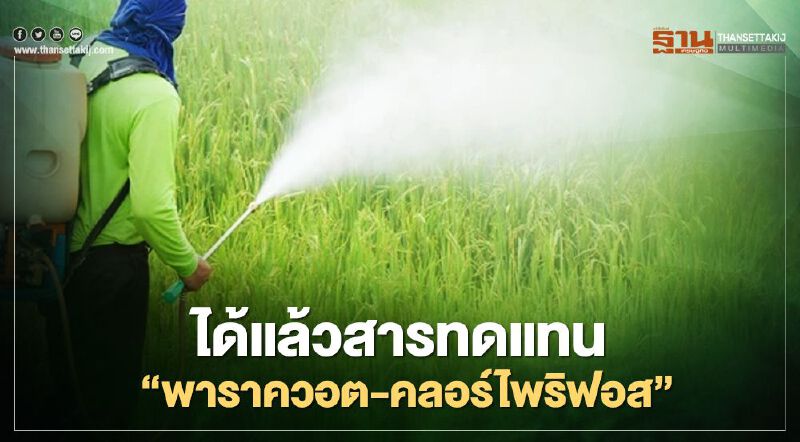 “สุริยะ”เผยได้แล้วสารทดแทน “พาราควอต”-“คลอร์ไพริฟอส” 