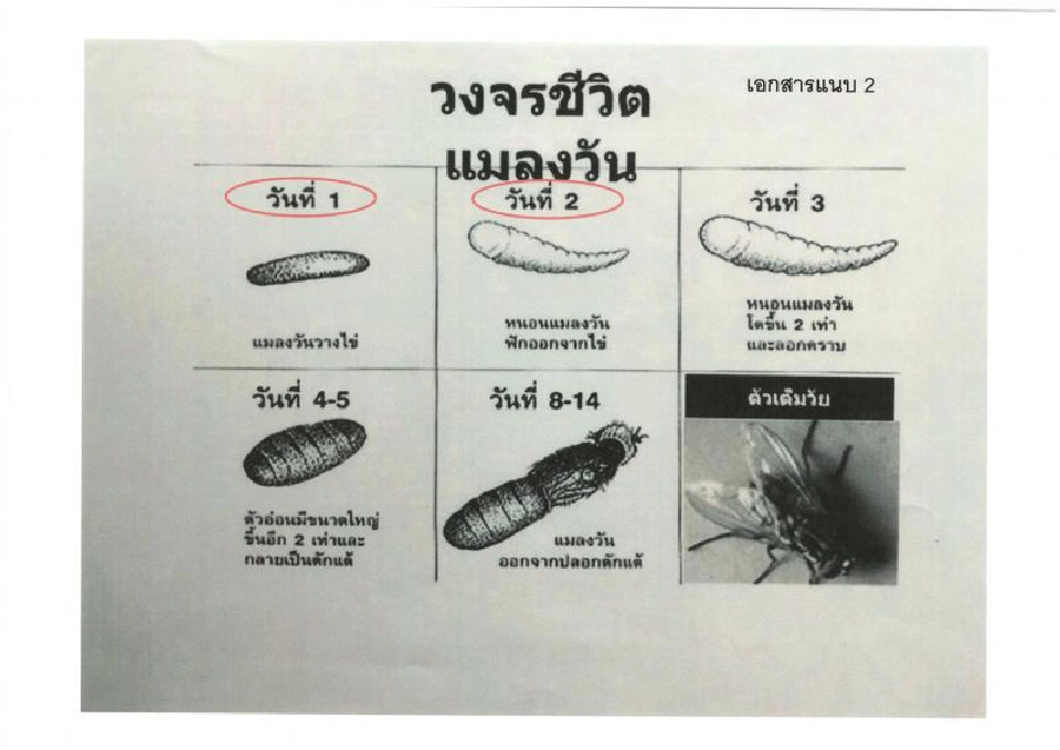 “ยูนิคอร์ด”ปฏิเสธลั่น ปลากระป๋องไม่มีหนอน ยันผลิตได้มาตรฐานทุกล็อต