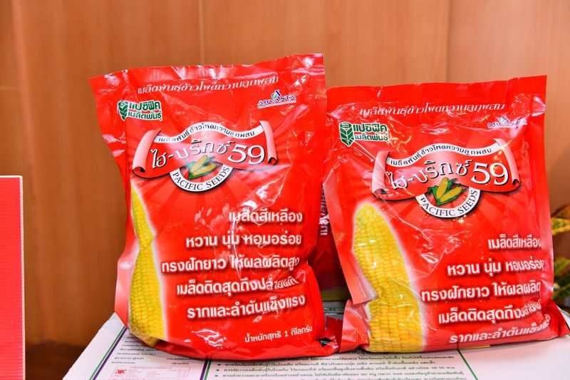 สมัครด่วน ทดลองปลูกข้าวโพด 73 วัน รายได้เฉียดหมื่น