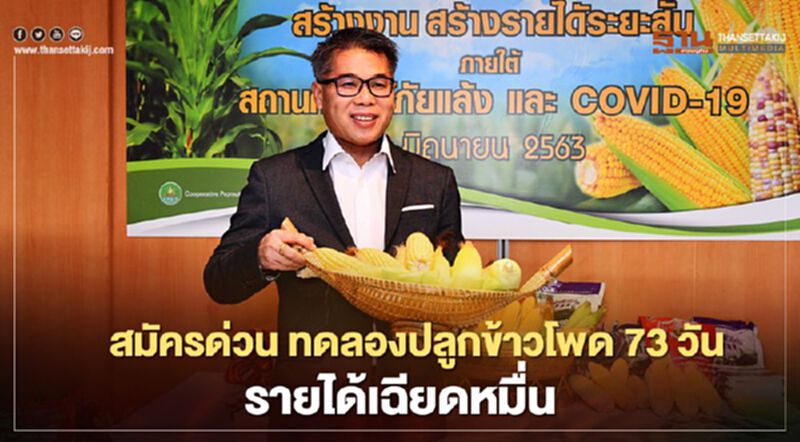 สมัครด่วน ทดลองปลูกข้าวโพด 73 วัน รายได้เฉียดหมื่น สมัครด่วน ทดลองปลูกข้าวโพด 73 วัน รายได้เฉียดหมื่น
