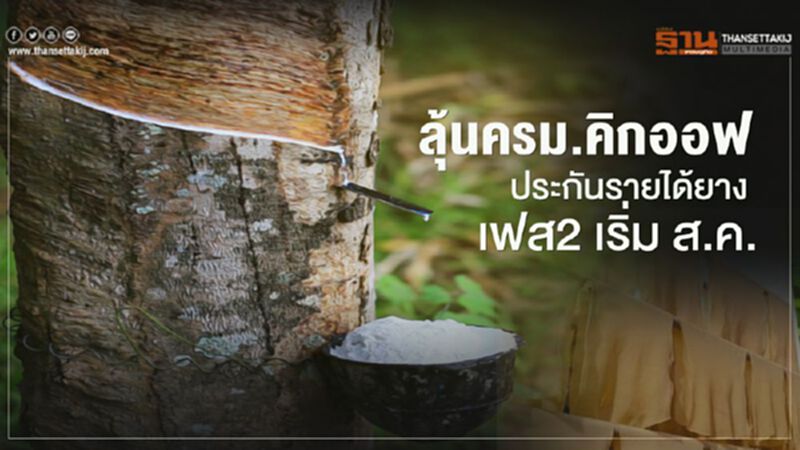 ลุ้น ครม.คิกออฟประกันรายได้ยาง เฟส2 กดปุ่ม ส.ค. ลุ้น ครม.คิกออฟประกันรายได้ยาง เฟส2 กดปุ่ม ส.ค.