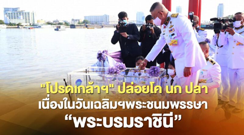 "ในหลวง" โปรดเกล้าฯผู้แทนพระองค์ ปล่อยโค นก ปลา วันเฉลิมพระชนมพรรษา "พระบรมราชินี" "ในหลวง" โปรดเกล้าฯผู้แทนพระองค์ ปล่อยโค นก ปลา วันเฉลิมพระชนมพรรษา "พระบรมราชินี"