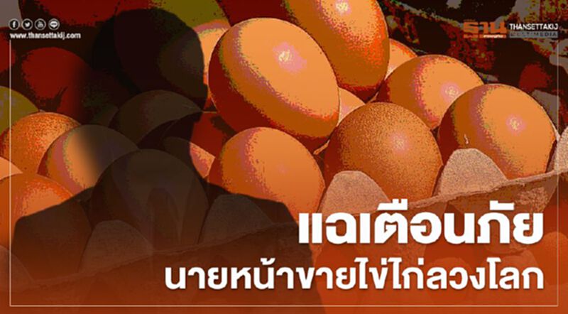 แฉเตือนภัยนายหน้าขายไข่ไก่ลวงโลก แฉเตือนภัยนายหน้าขายไข่ไก่ลวงโลก