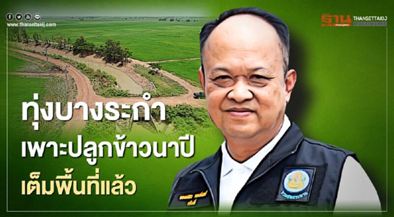 ทุ่งบางระกำเพาะปลูกข้าวนาปีเต็มพื้นที่แล้ว ทุ่งบางระกำเพาะปลูกข้าวนาปีเต็มพื้นที่แล้ว