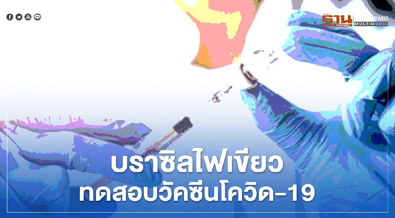 บราซิลไฟเขียว ทดสอบวัคซีนโควิด-19 บราซิลไฟเขียว ทดสอบวัคซีนโควิด-19