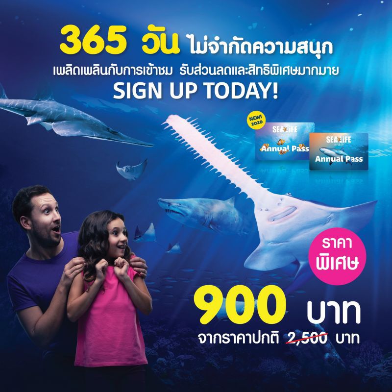 เปิดแล้ว! “ซีไลฟ์ แบงคอก” รับคลายล็อกดาวน์  