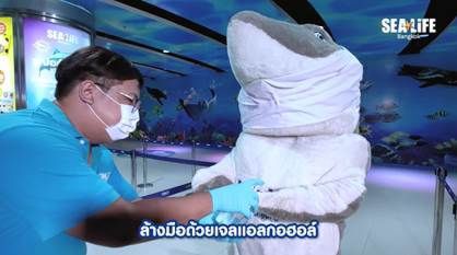 เปิดแล้ว! “ซีไลฟ์ แบงคอก” รับคลายล็อกดาวน์  