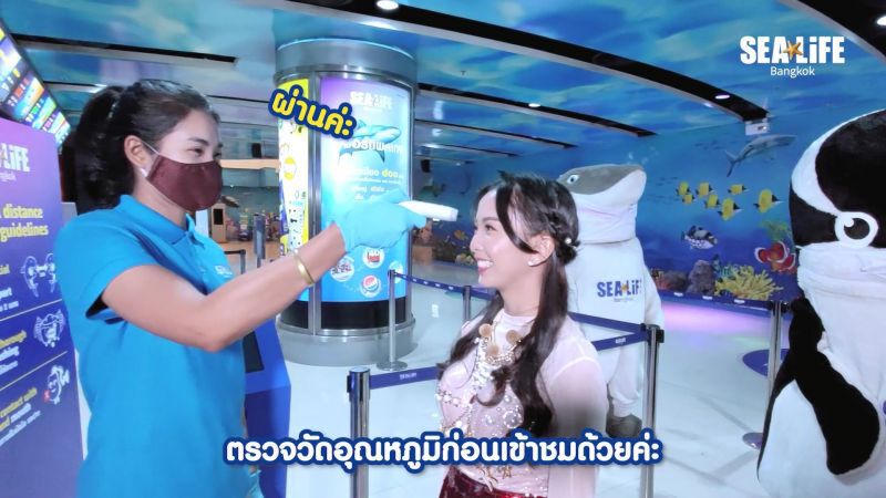 เปิดแล้ว! “ซีไลฟ์ แบงคอก” รับคลายล็อกดาวน์  