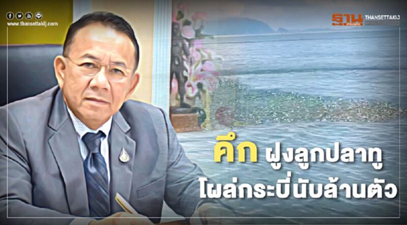 คึก ฝูงลูกปลาทูโผล่กระบี่นับล้านตัว คึก ฝูงลูกปลาทูโผล่กระบี่นับล้านตัว