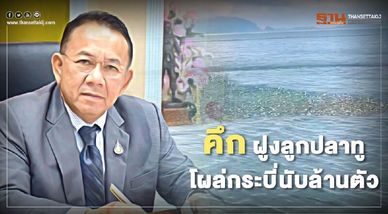 คึก ฝูงลูกปลาทูโผล่กระบี่นับล้านตัว