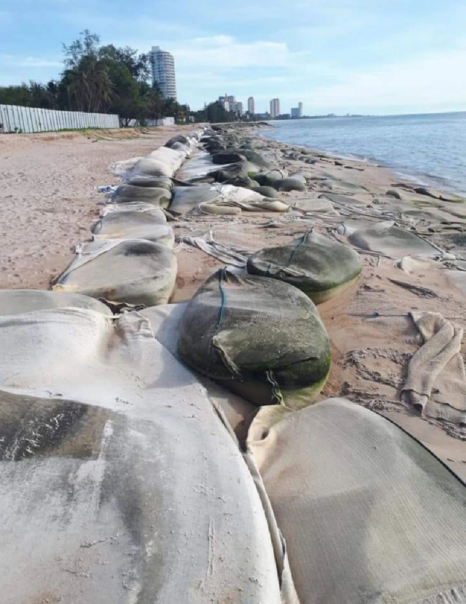 ภาพจากเฟซบุ๊ก "ศศิน เฉลิมลาภ"