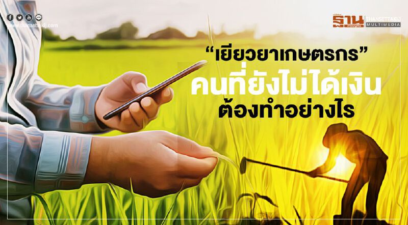 ตรวจสอบสิทธิ์ "เยียวยาเกษตรกร” คนที่ยังไม่ได้เงินต้องทำอย่างไร