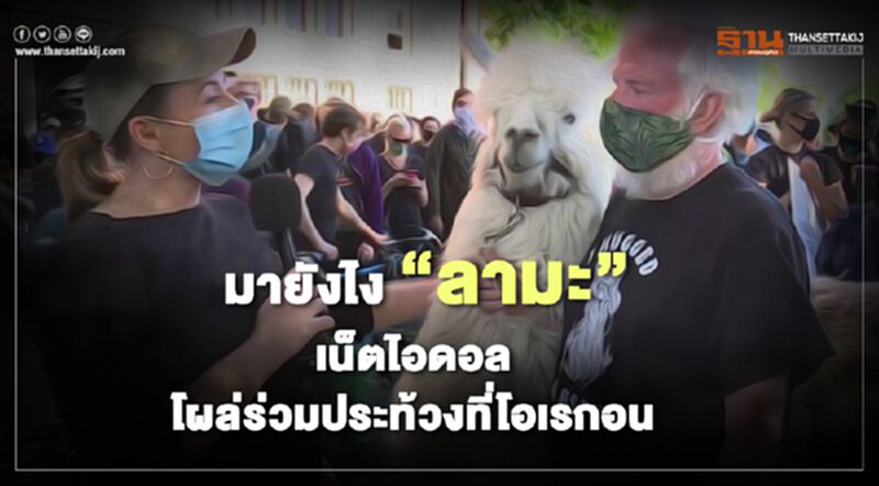 มายังไง “ลามะ” เน็ตไอดอลโผล่ร่วมการประท้วงที่โอเรกอน มายังไง “ลามะ” เน็ตไอดอลโผล่ร่วมการประท้วงที่โอเรกอน