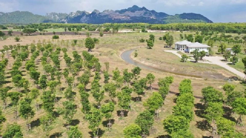 ภาพจากเฟซบุ๊ก Tak Bongkod Bencharongkul