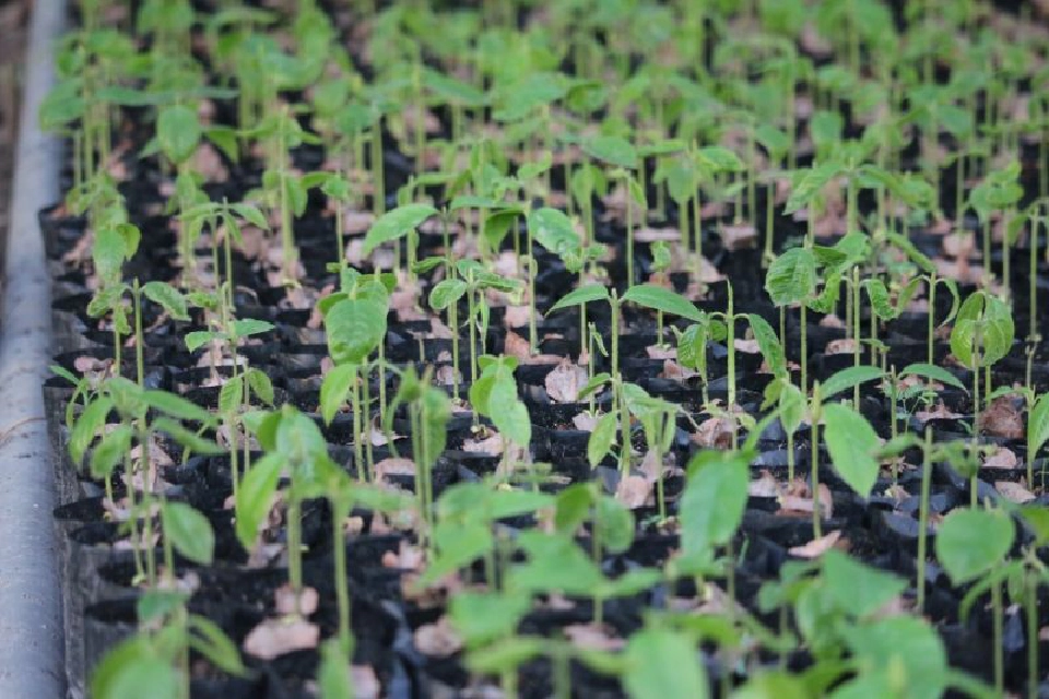 ภาพจากเฟซบุ๊ก Tak Bongkod Bencharongkul