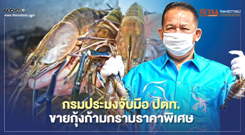 กรมประมงจับมือ ปตท. ขายกุ้งก้ามกรามราคาพิเศษ 180-350 บาทต่อกก. กรมประมงจับมือ ปตท. ขายกุ้งก้ามกรามราคาพิเศษ 180-350 บาทต่อกก.