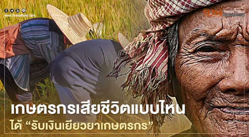 www.เยียวยาเกษตรกร.com เคลียร์ชัด เกษตรกรเสียชีวิต แบบไหน "ทายาท" รับเงินเยียวยา5,000 (มีคลิป) www.เยียวยาเกษตรกร.com เคลียร์ชัด เกษตรกรเสียชีวิต แบบไหน "ทายาท" รับเงินเยียวยา5,000 (มีคลิป)