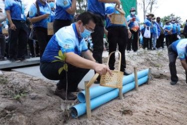 โรงไฟฟ้า “บีแอลซีพี” สนับสนุนพันธุ์ “ปูม้า”  2 แสนตัววันทะเลโลก