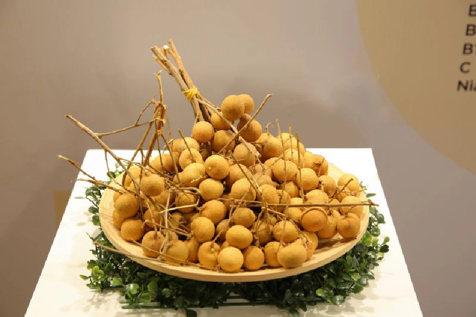 ผลไม้ไทยยังได้รับความนิยม  4 เดือนส่งออกเพิ่ม 4.83%