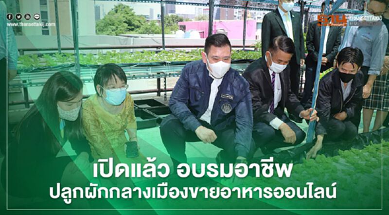 เปิดแล้ว อบรมอาชีพปลูกผักกลางเมืองขายอาหารออนไลน์ เปิดแล้ว อบรมอาชีพปลูกผักกลางเมืองขายอาหารออนไลน์