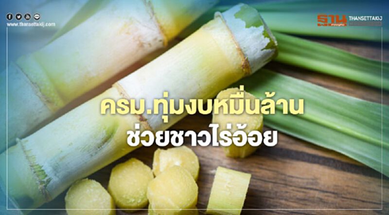 เฮ ! ครม.ทุ่มงบ 10,000 ล้าน ช่วยชาวไร่อ้อย เฮ ! ครม.ทุ่มงบ 10,000 ล้าน ช่วยชาวไร่อ้อย