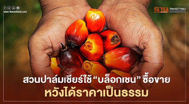 สวนปาล์มเชียร์ใช้ “บล็อกเชน”ซื้อขาย หวังได้ราคาเป็นธรรม สวนปาล์มเชียร์ใช้ “บล็อกเชน”ซื้อขาย หวังได้ราคาเป็นธรรม