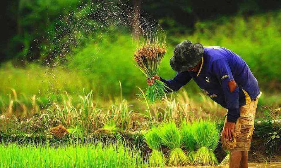 เขื่อนทั่วไทยน้ำยังวิกฤติ 447 แห่งใหญ่-กลางรอฝนเติม