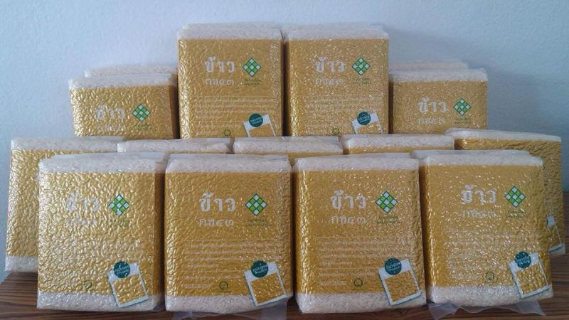 ดันแผนปลูกข้าวพื้นนุ่ม 2 ล้านไร่ ตอบโจทย์ผู้บริโภคยุคโควิด