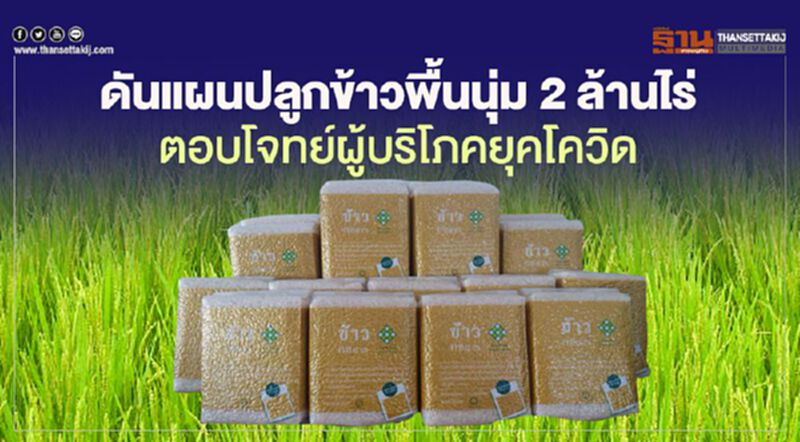 ดันแผนปลูกข้าวพื้นนุ่ม 2 ล้านไร่ ตอบโจทย์ผู้บริโภคยุคโควิด ดันแผนปลูกข้าวพื้นนุ่ม 2 ล้านไร่ ตอบโจทย์ผู้บริโภคยุคโควิด