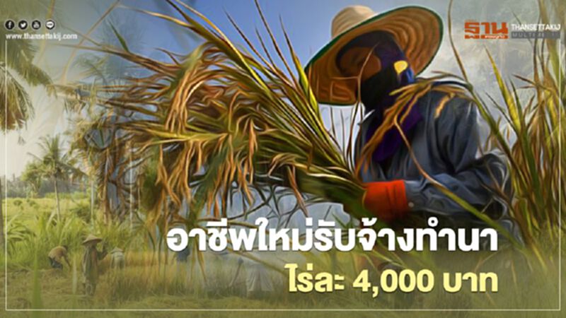อาชีพใหม่รับจ้างทำนาไร่ละ 4,000 บาท อาชีพใหม่รับจ้างทำนาไร่ละ 4,000 บาท