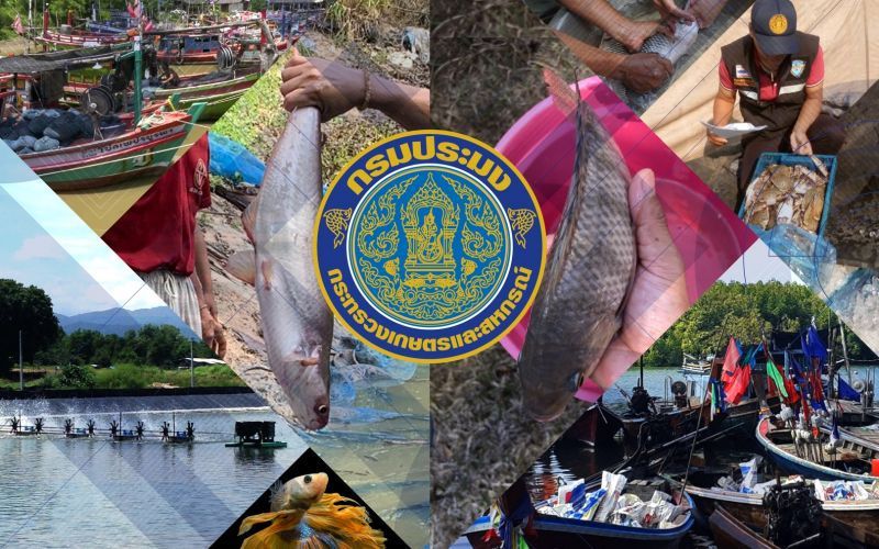 "ตรวจสอบเงินยียวยาเกษตรกร" เช็กด่วน กรมประมง มีอุทธรณ์สำเร็จ 