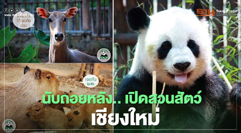 สวนสัตว์เชียงใหม่เตรียมความพร้อมก่อนเปิดเร็วๆนี้ สวนสัตว์เชียงใหม่เตรียมความพร้อมก่อนเปิดเร็วๆนี้