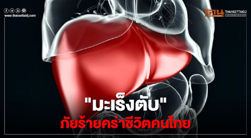 "มะเร็งตับ"พบมากเป็นอันดับ 1 ของชายไทย "มะเร็งตับ"พบมากเป็นอันดับ 1 ของชายไทย