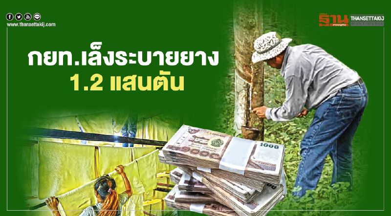 กยท.เล็งระบายยาง 1.2แสนตัน  ประเมินขาดทุนยับ 20-60 บาทต่อกก.