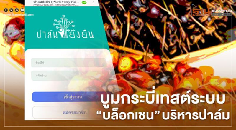 บูมกระบี่เทสต์ระบบ “บล็อกเชน” บริหารปาล์ม บูมกระบี่เทสต์ระบบ “บล็อกเชน” บริหารปาล์ม