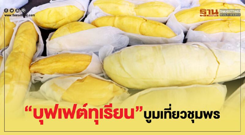 "บุฟเฟต์ทุเรียน"บูมเที่ยวชุมพร "บุฟเฟต์ทุเรียน"บูมเที่ยวชุมพร