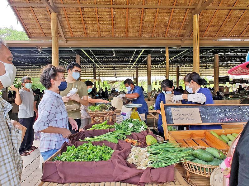 เที่ยวใกล้กรุง ‘ตลาดสุขใจ’ แวะไปเรียนรู้วิถีเกษตรอินทรีย์