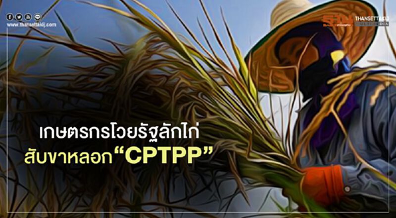 เกษตรกรโวย รัฐลักไก่ สับ ขาหลอก “CPTPP” เกษตรกรโวย รัฐลักไก่ สับ ขาหลอก “CPTPP”