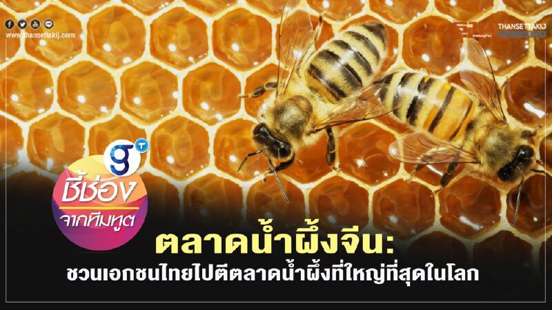 ตลาดน้ำผึ้งจีน: ชวนเอกชนไทยไปตีตลาดน้ำผึ้งที่ใหญ่ที่สุดในโลก