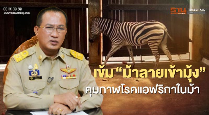 เข้ม “ม้าลายเข้ามุ้ง” คุมกาฬโรคแอฟริกาในม้า เข้ม “ม้าลายเข้ามุ้ง” คุมกาฬโรคแอฟริกาในม้า