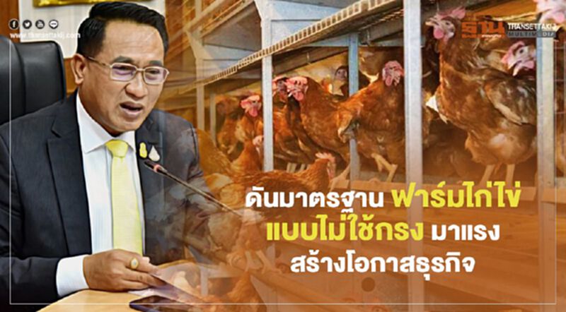 ดันมาตรฐานฟาร์มไก่ไข่แบบไม่ใช้กรงมาแรง สร้างโอกาสธุรกิจ ดันมาตรฐานฟาร์มไก่ไข่แบบไม่ใช้กรงมาแรง สร้างโอกาสธุรกิจ