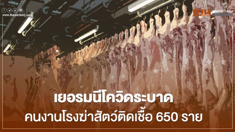 เยอรมนี ผวาโควิดระบาดคนงานโรงฆ่าสัตว์ติดเชื้อกว่า 650 ราย เยอรมนี ผวาโควิดระบาดคนงานโรงฆ่าสัตว์ติดเชื้อกว่า 650 ราย