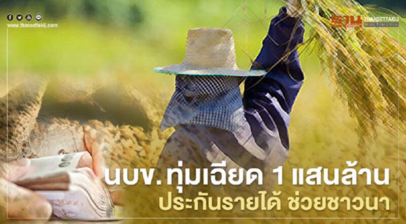 "เยียวยาเกษตรกร" นบข. ทุ่มเฉียด 1แสนล้าน ประกันรายได้ชาวนา "เยียวยาเกษตรกร" นบข. ทุ่มเฉียด 1แสนล้าน ประกันรายได้ชาวนา