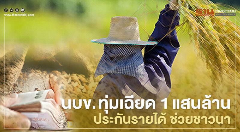 "เยียวยาเกษตรกร" นบข. ทุ่มเฉียด 1แสนล้าน ประกันรายได้ชาวนา