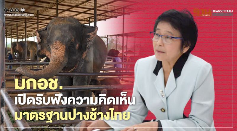 มกอช.เปิดรับฟังความคิดเห็นมาตรฐานปางช้างไทย