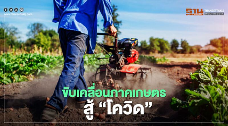 ผุดเว็บ “ช่วยเกษตร.com” เปลี่ยนโมเดลสู่“เกษตรพาณิชย์” เช็กได้เลย! ผุดเว็บ “ช่วยเกษตร.com” เปลี่ยนโมเดลสู่“เกษตรพาณิชย์” เช็กได้เลย!
